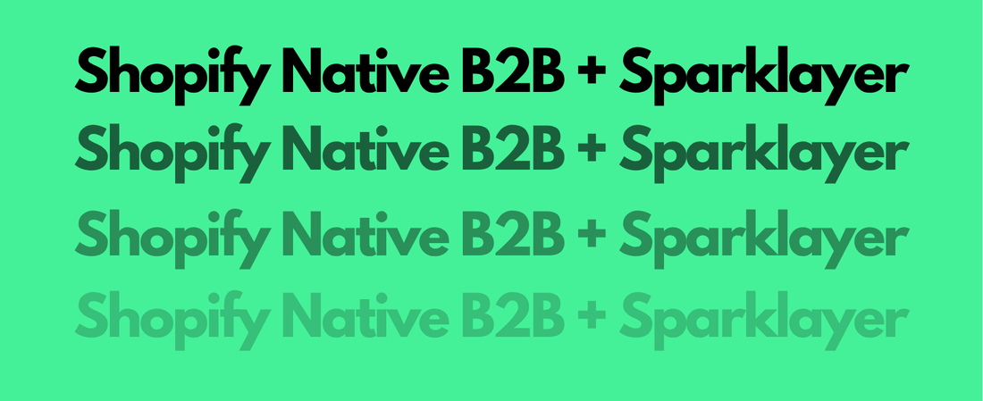 The Definitive Guide to Shopify B2B in 2026: Native Features vs. Professional Architecture